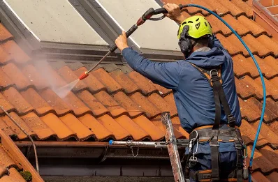 Démoussage et hydrofuge de toiture à Trichey